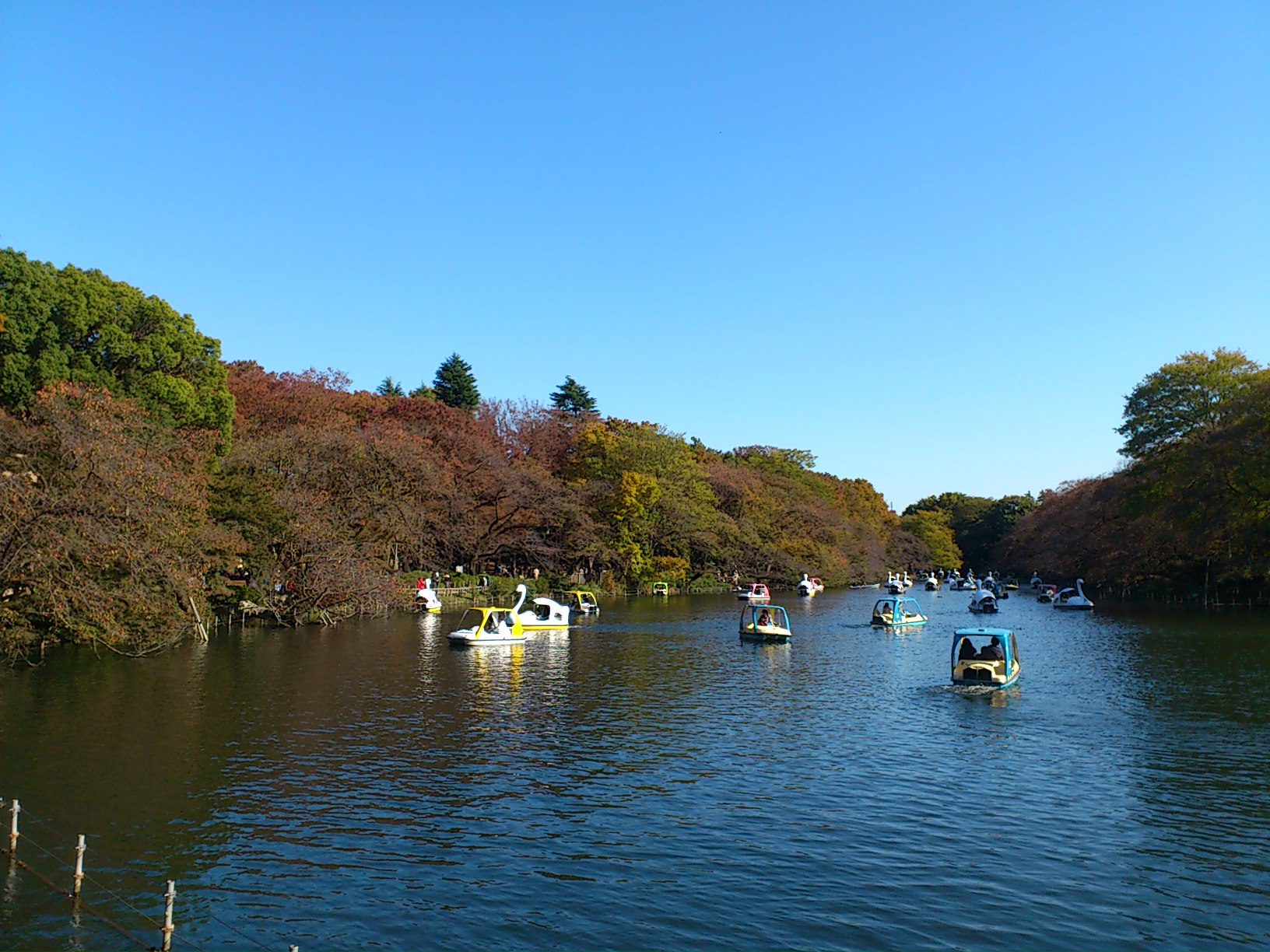 吉祥寺　井の頭公園　七井橋より