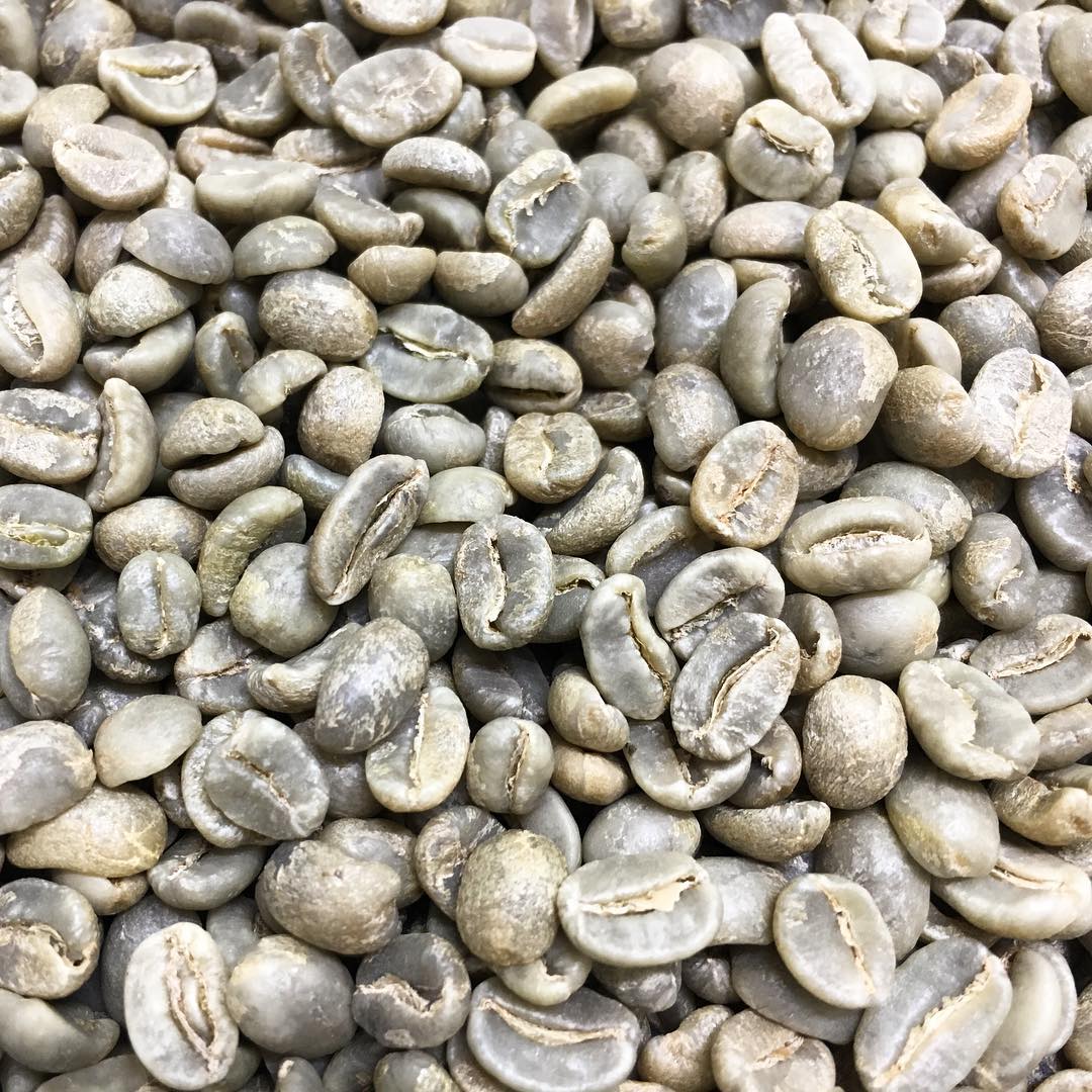 グアテマラSHB　コーヒー生豆