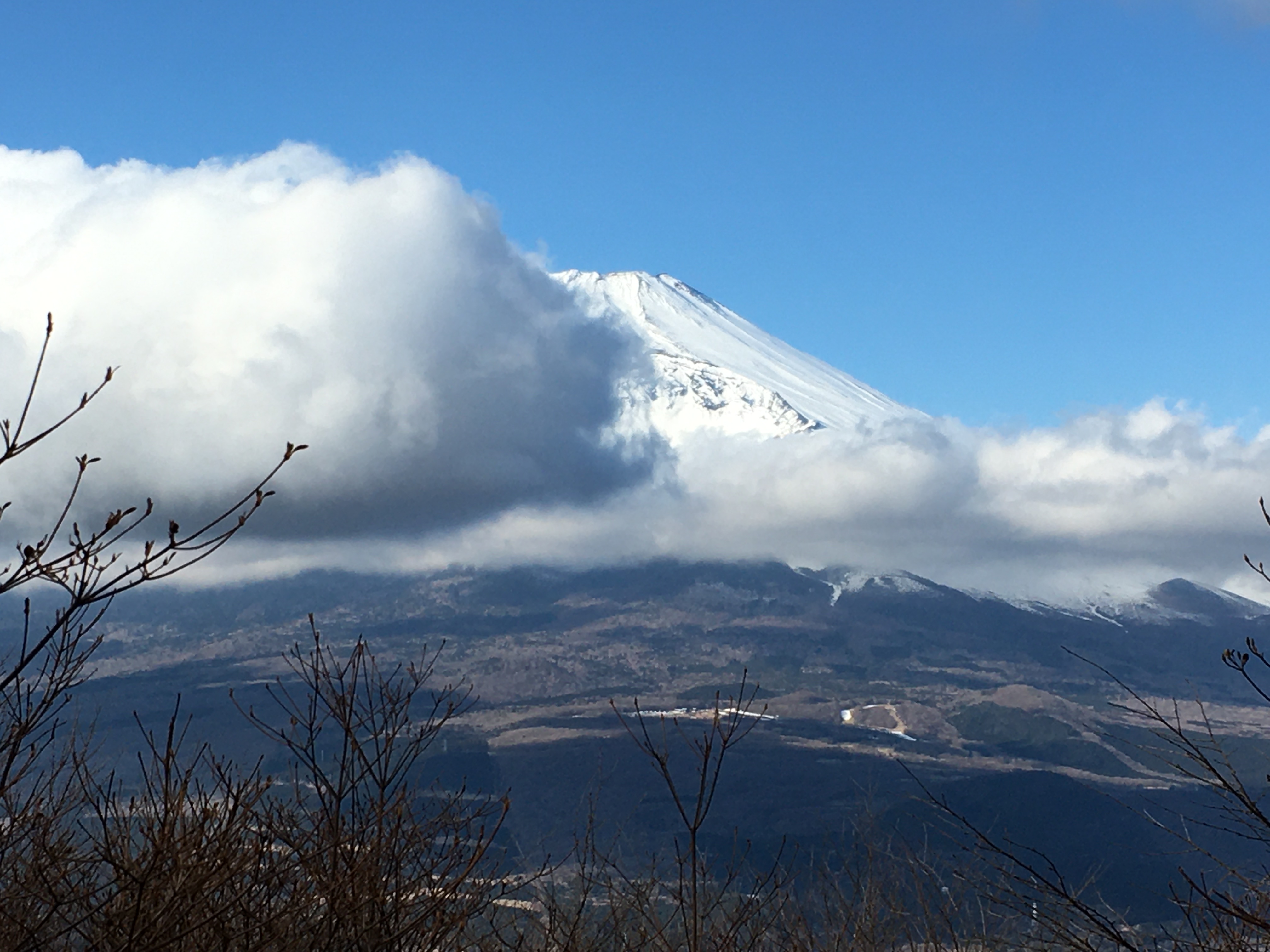 富士山は少しだけ顔を出してくれました。